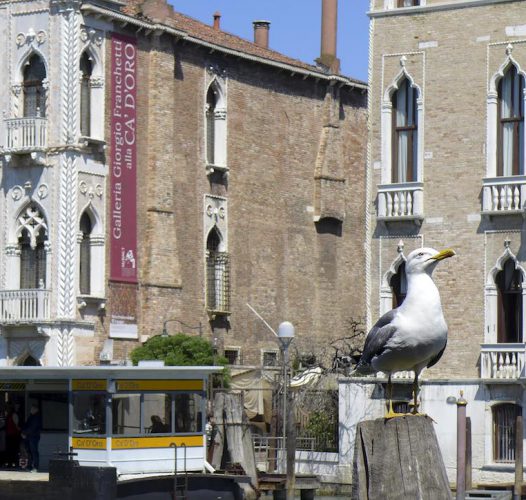 Mercato di Rialto (VE) — Veneto Secrets