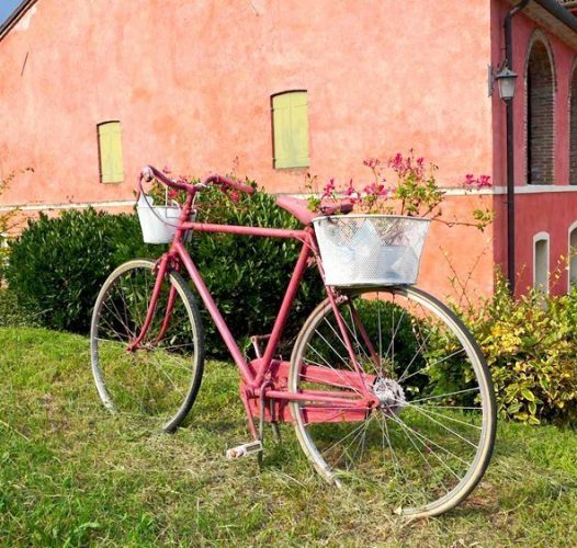 Prosecco in bicicletta: un magico tour tra degustazioni e locali storici — Veneto Secrets
