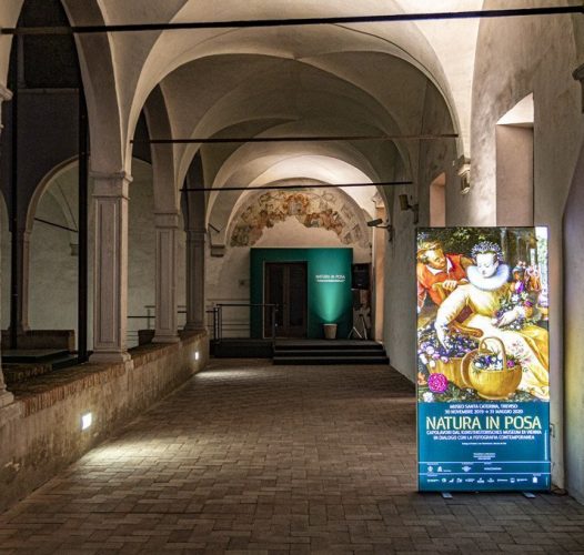 NEW! Natura in posa, le “vanitas” più belle del mondo in mostra a Treviso fino al 27/09 — Veneto Secrets