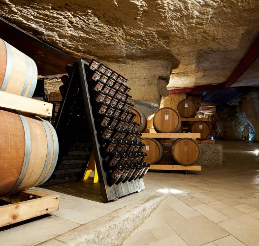 The most beautiful design wineries in Veneto, between tastings and sustainability — Veneto Secrets