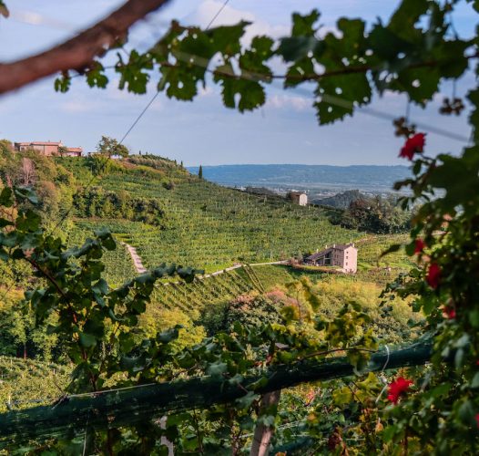 The ancient wine cellar of the Confraternita del Prosecco — Veneto Secrets