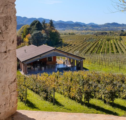 The art gallery-winery Fasol Menin — Veneto Secrets