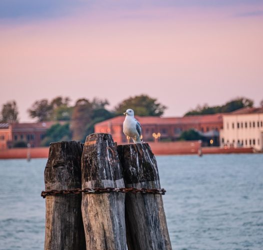 Veleziana 2025 Weekend all’Hotel Indigo Venice Sant’Elena — Veneto Secrets
